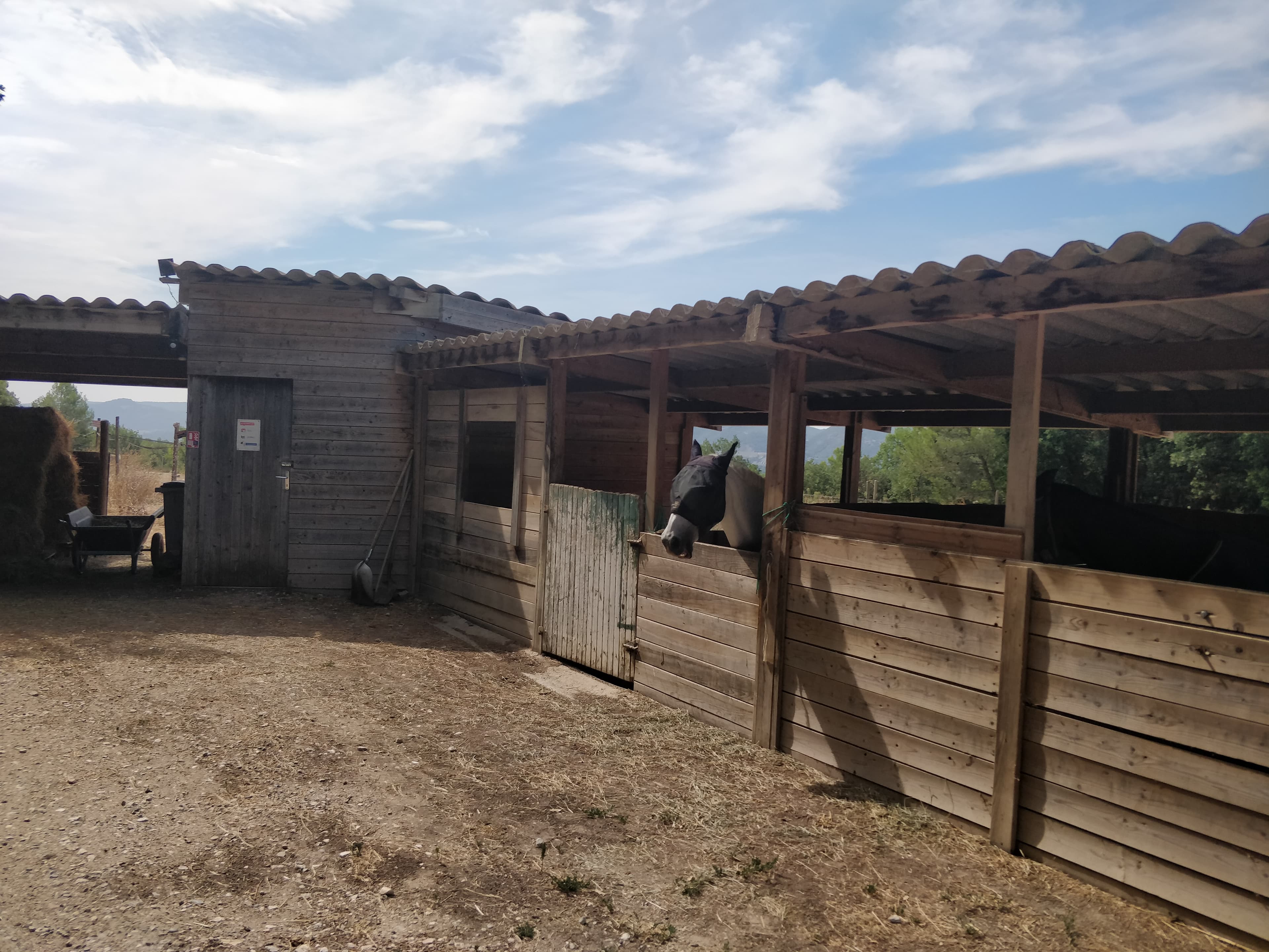 Our spacious paddocks