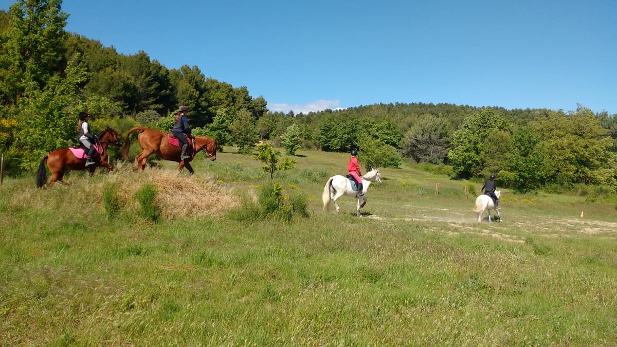 Nos prairies verdoyantes